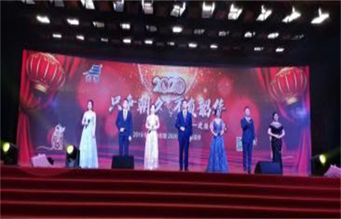 大名集團(tuán)2019年總結(jié)表彰暨2020年新春聯(lián)誼會(huì)
