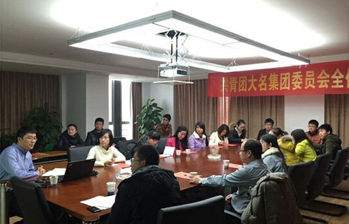 大名集團(tuán)第四屆團(tuán)委委員增選大會隆重召開
