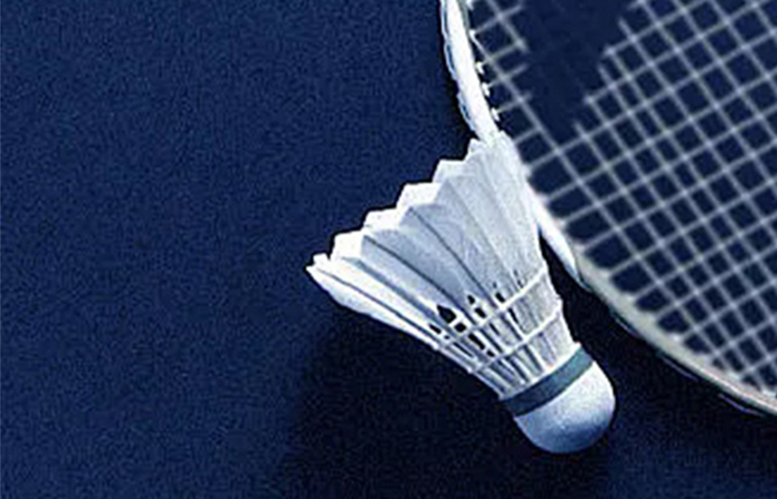 2024年大名集團職工文體活動之羽毛球比賽